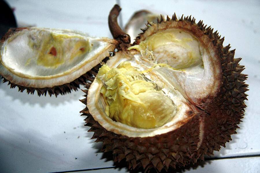 A dark brown, nearly rotten/rancid durian.