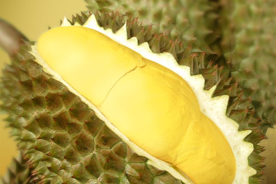 A durian in the foreground cut open to nicely reveal the fruit meat inside, with another durian in the background.