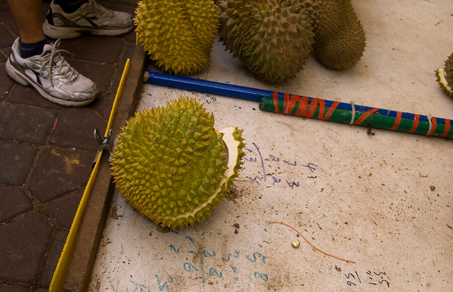 Tappy stick for durian.